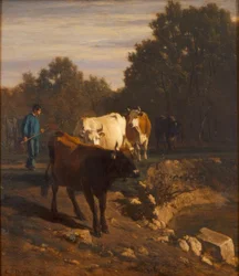 Rückkehr im Abendlicht